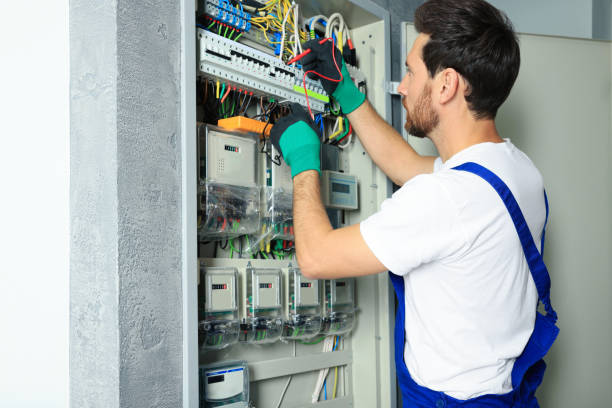 Best Electric Panel Repair  in Belmont, VA